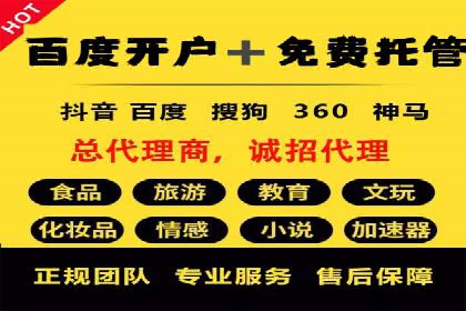 谷歌竞价广告的投放策略与成功案例分析